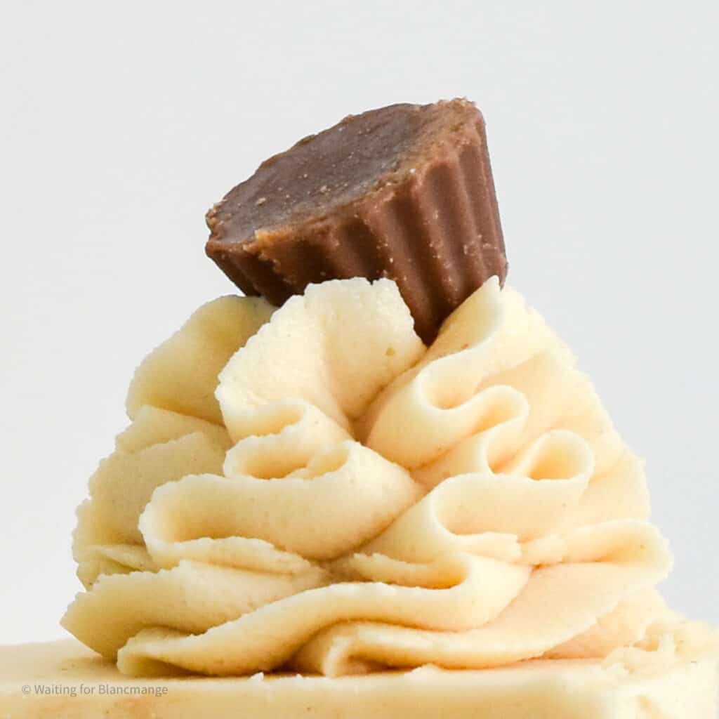 Close up of a swirl of piped peanut butter frosting with a mini Reese's cup on top.